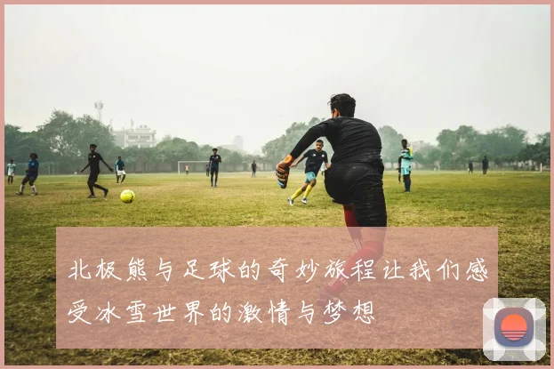 北极熊与足球的奇妙旅程让我们感受冰雪世界的激情与梦想