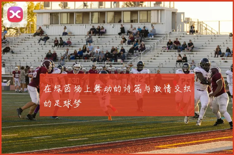 在绿茵场上舞动的诗篇与激情交织的足球梦